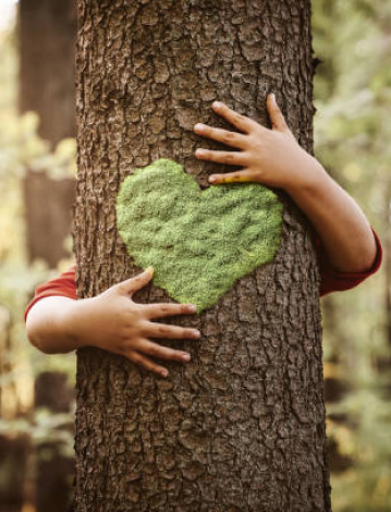 Environmental Sustainability